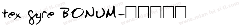 tex gyre BONUM字体转换